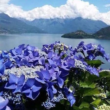 Agriturismo Piccolo Paradiso Pianello Del Lario Bagian luar foto