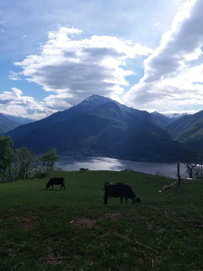 Agriturismo Piccolo Paradiso Pianello Del Lario Bagian luar foto