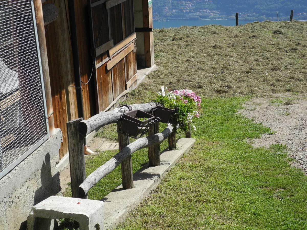 Agriturismo Piccolo Paradiso Pianello Del Lario Bagian luar foto