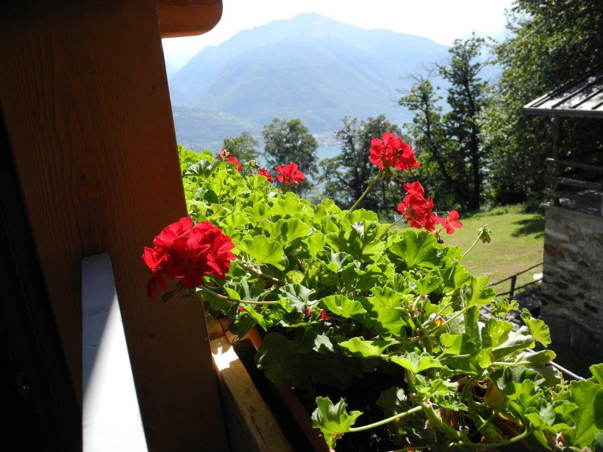 Agriturismo Piccolo Paradiso Pianello Del Lario Bagian luar foto