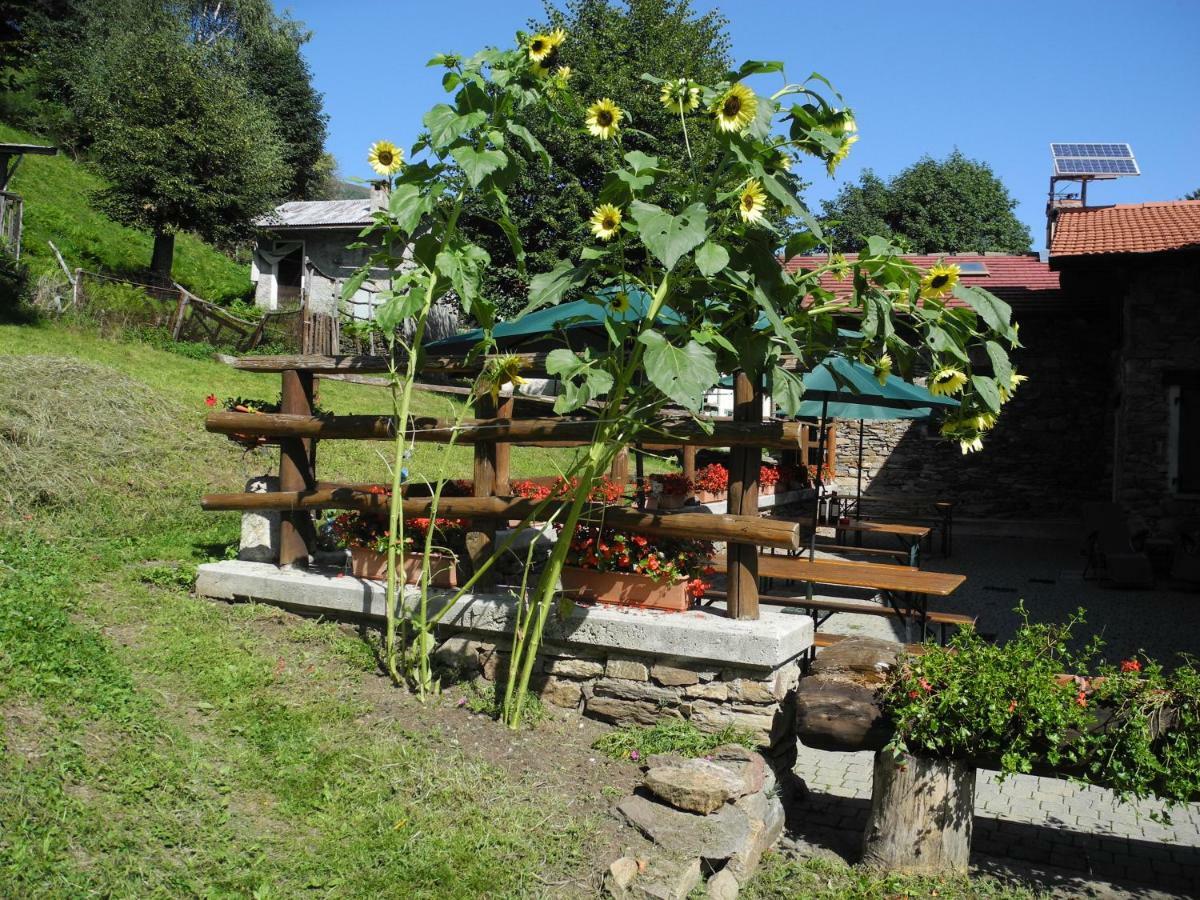 Agriturismo Piccolo Paradiso Pianello Del Lario Bagian luar foto